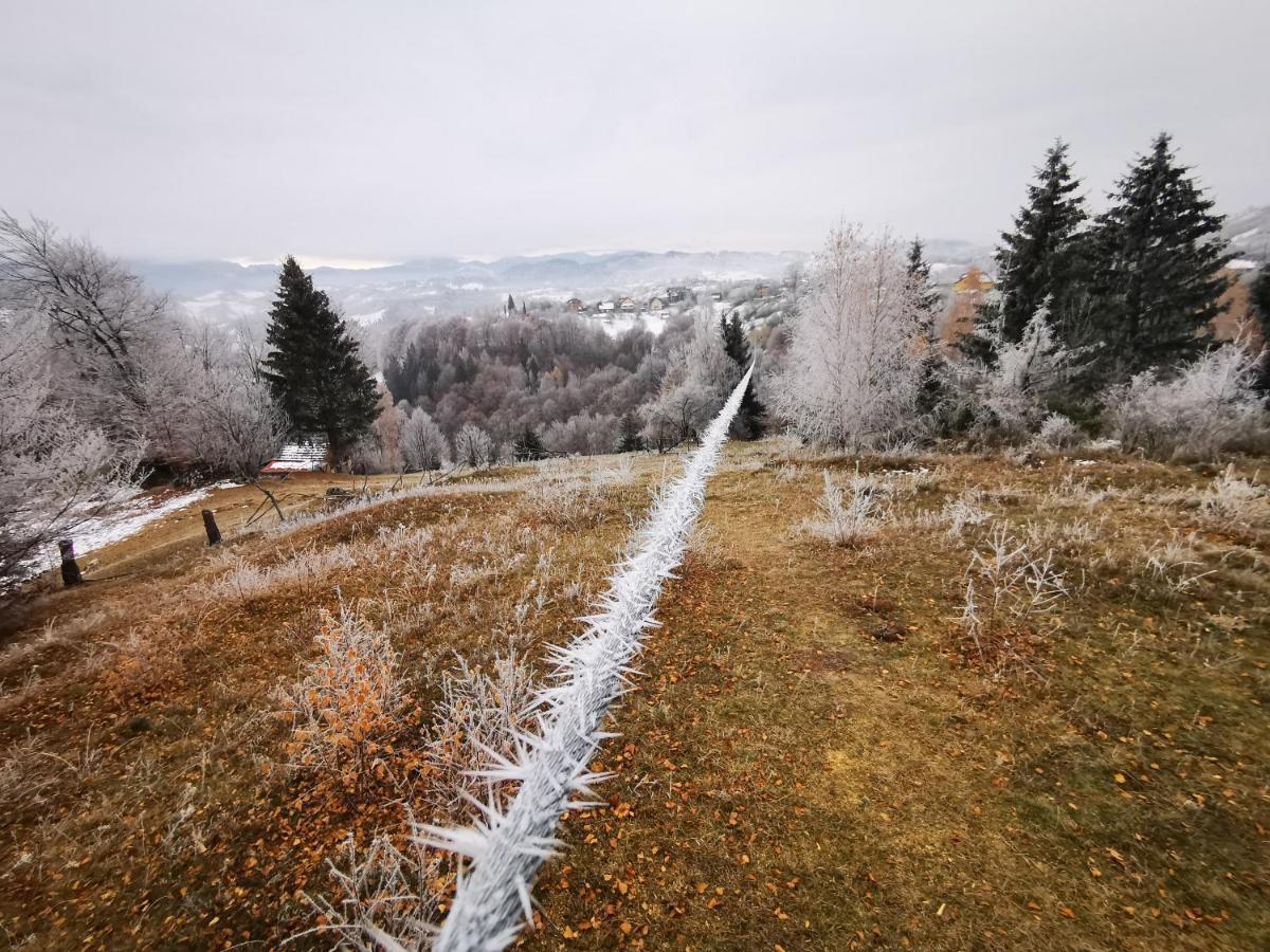 Pensiunea Tabacaru Пештера Экстерьер фото