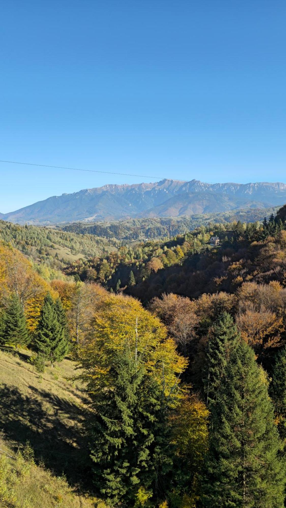 Pensiunea Tabacaru Пештера Экстерьер фото