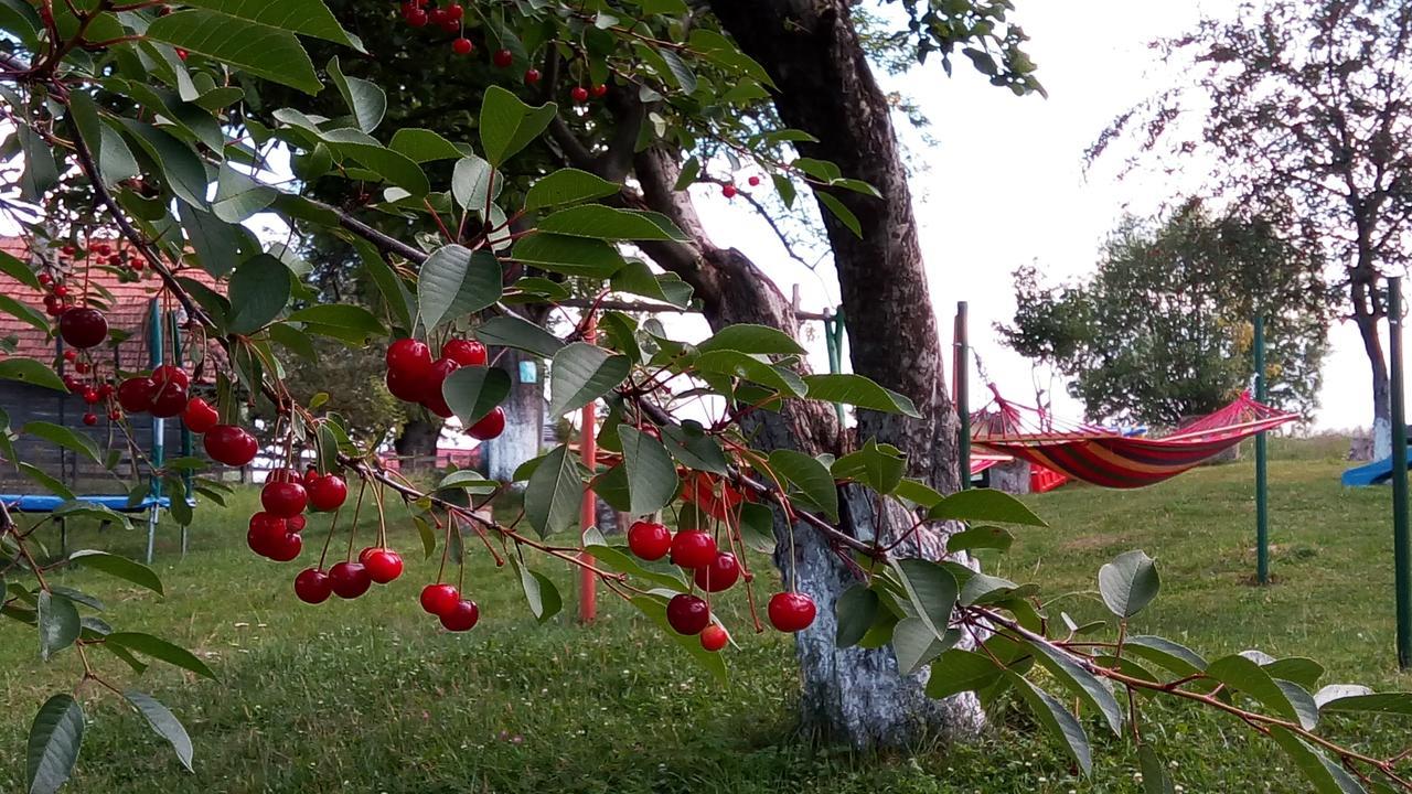 Pensiunea Tabacaru Пештера Экстерьер фото