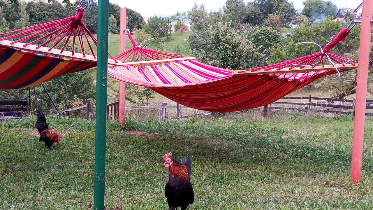 Pensiunea Tabacaru Пештера Экстерьер фото