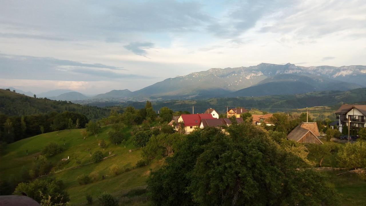 Pensiunea Tabacaru Пештера Экстерьер фото
