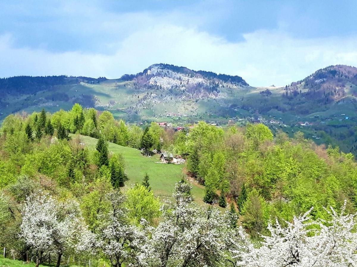 Pensiunea Tabacaru Пештера Экстерьер фото