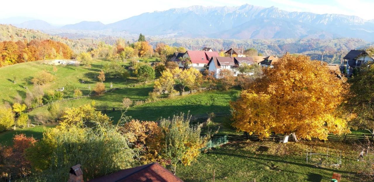 Pensiunea Tabacaru Пештера Экстерьер фото